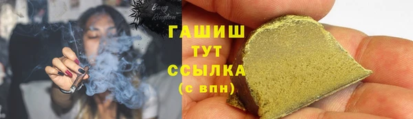 ПСИЛОЦИБИНОВЫЕ ГРИБЫ Богданович