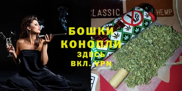 дживик Богородицк