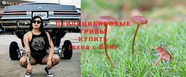 ПСИЛОЦИБИНОВЫЕ ГРИБЫ Богданович