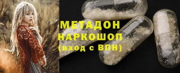 ПСИЛОЦИБИНОВЫЕ ГРИБЫ Богданович