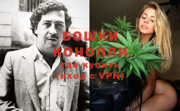 ПСИЛОЦИБИНОВЫЕ ГРИБЫ Богданович