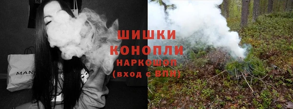 дживик Богородицк