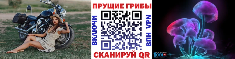 Псилоцибиновые грибы Psilocybine cubensis Гулькевичи