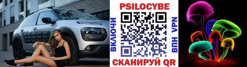 MEGA tor  наркошоп  Гулькевичи  Псилоцибиновые грибы Psilocybe 