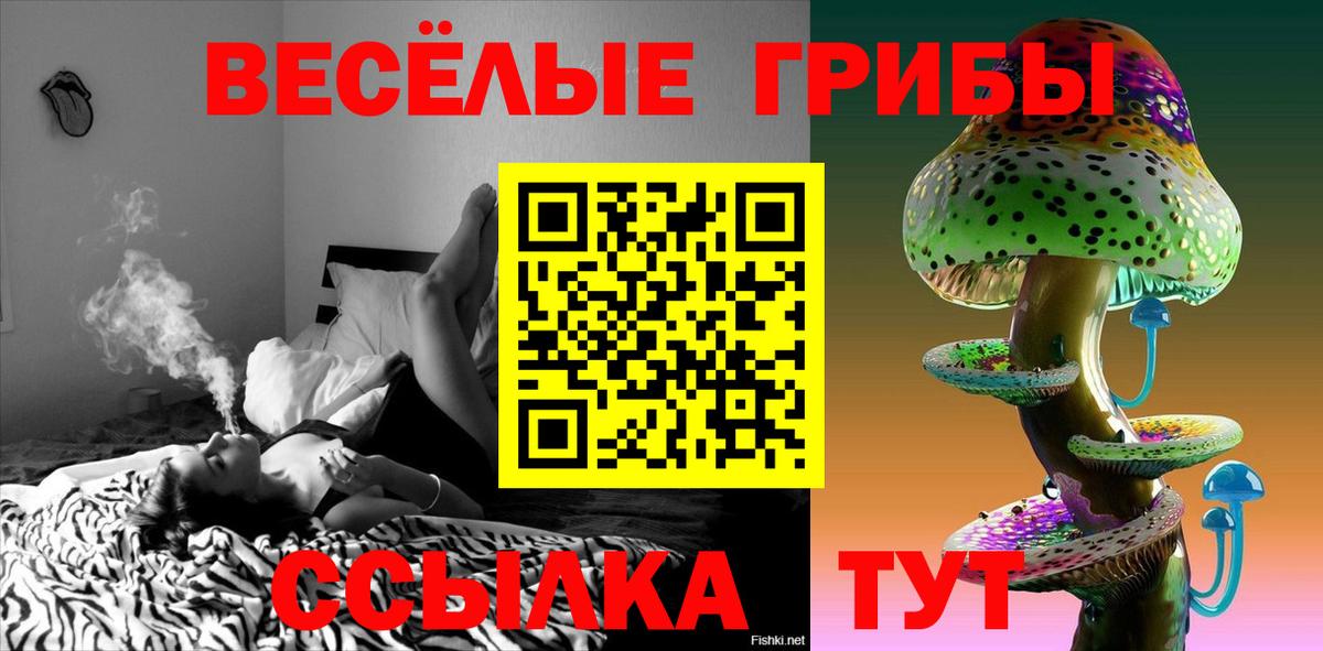 Галлюциногенные грибы Psilocybine cubensis Гулькевичи