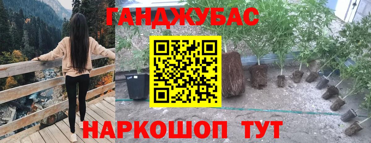 Каннабис SATIVA & INDICA Гулькевичи